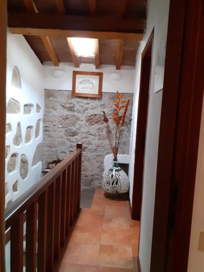 فيلا Casa Di Nonno Gio فيكيانو المظهر الخارجي الصورة